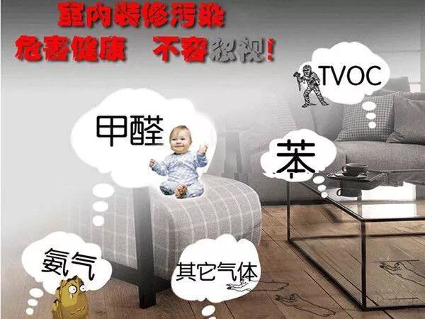 553_20190813111608fa11b.jpg 553_20190813111608fa11b.jpg